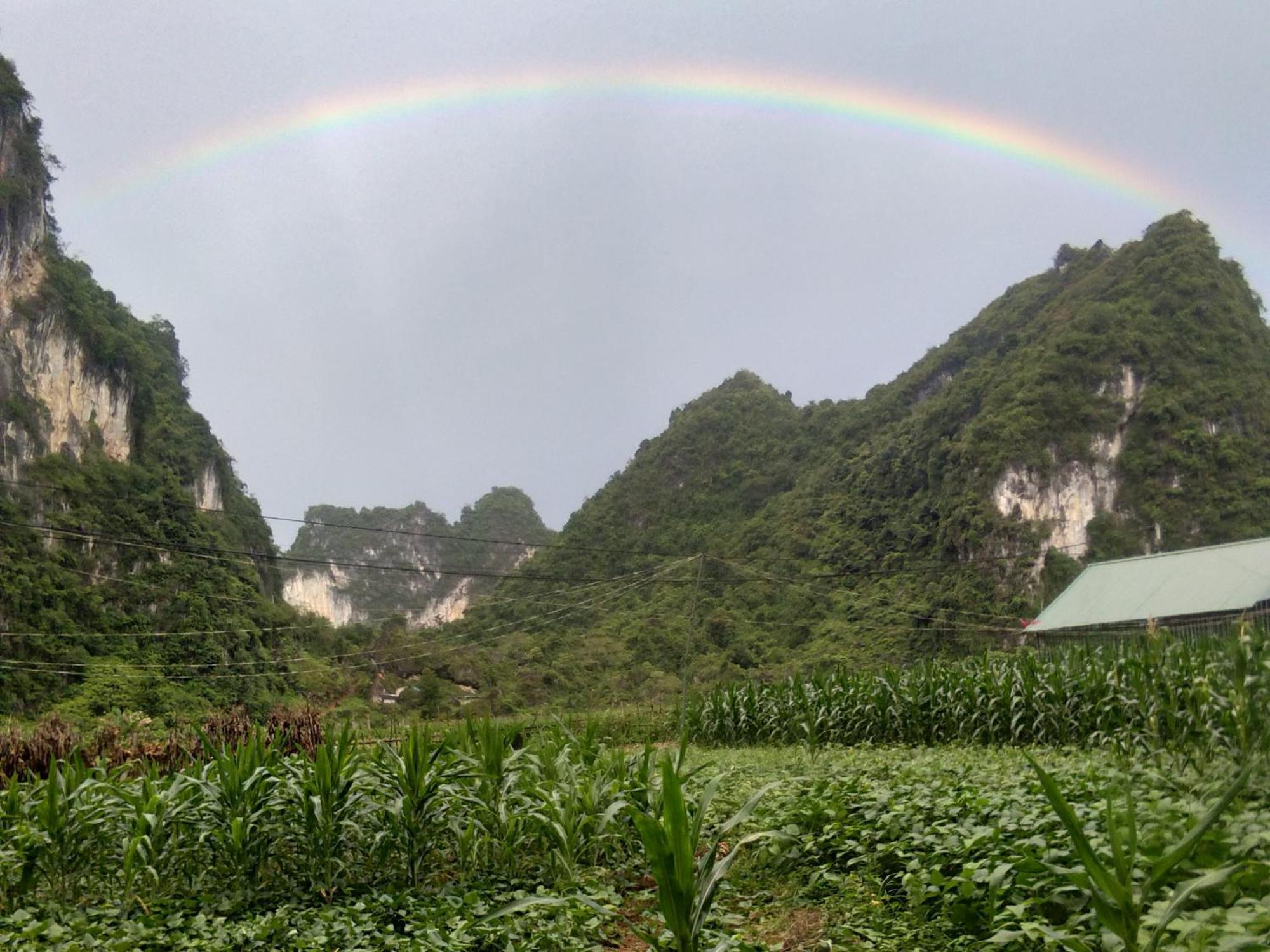 Trieu Chuong Homestay 高平 外观 照片